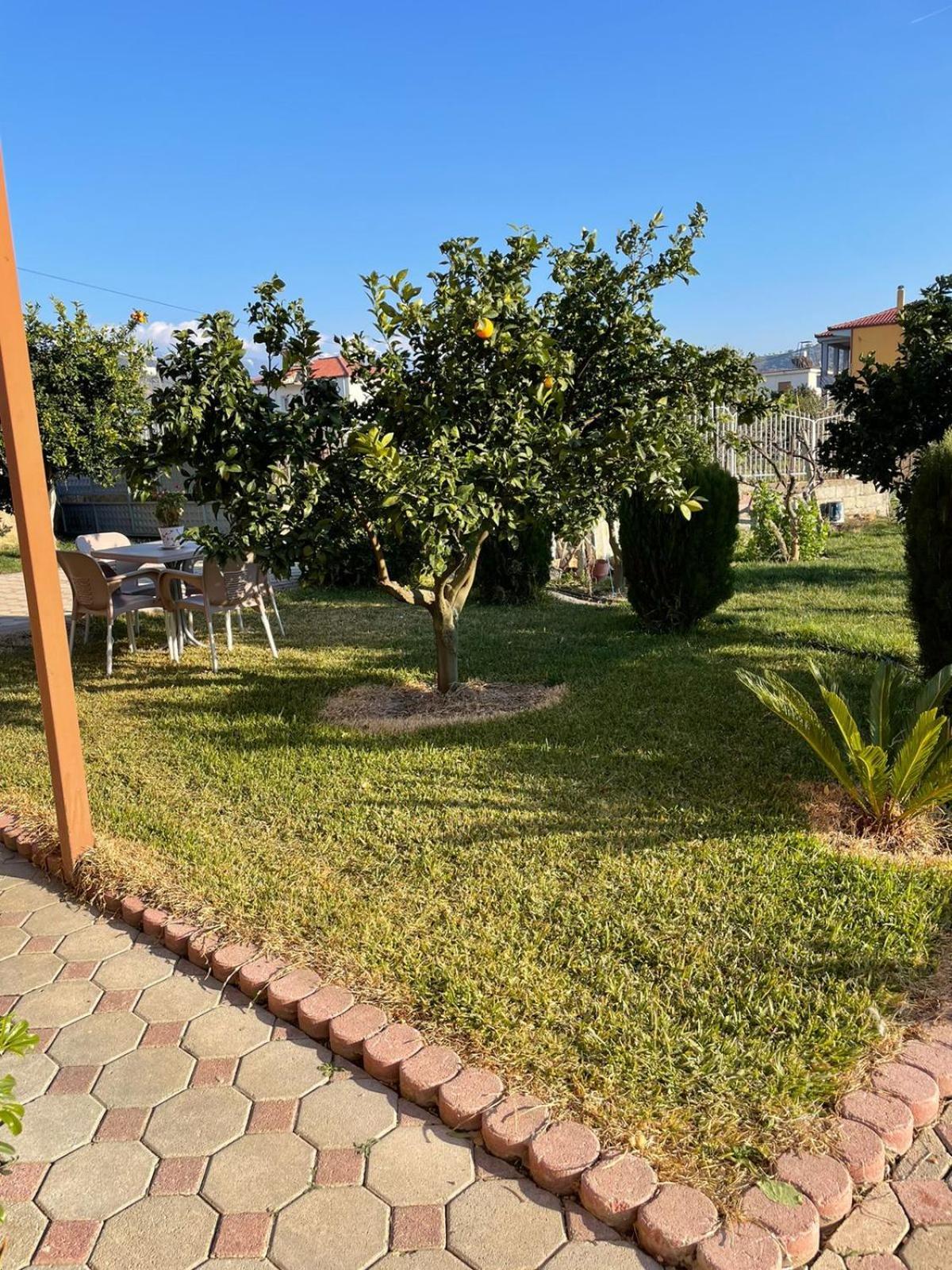 Harmony Villa Berati Exterior foto
